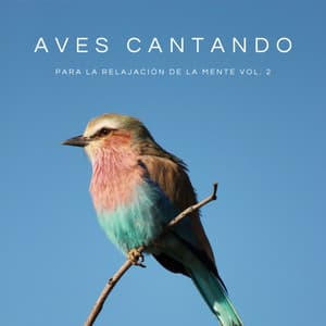 Aves Cantando Para La Relajación De La Mente Vol. 2 - Máquina de Ruido Blanco