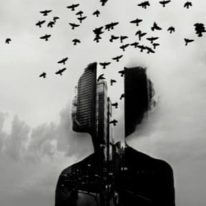 Liberation from Fear - Naturaless