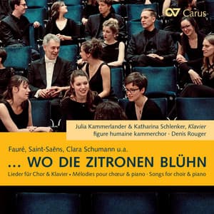 ...wo die Zitronen blühn - Julia Kammerlander
