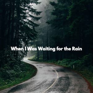 When I Was Waiting for the Rain - Musica Hoteles