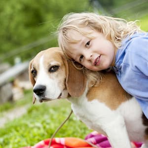 Serene Jazz Piano Harmony: Peaceful Pet Companionship Music - Jazz Piano Bar Academy