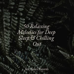 50 Relaxing Melodies for Deep Sleep & Chilling Out - Spa Relaxation & Spa