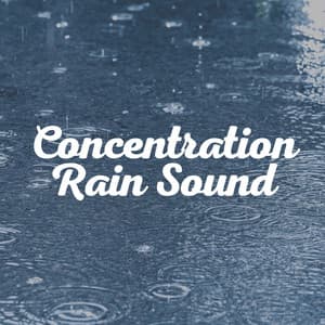 Concentration Rain Sound - Nature & Rainforest Sounds Collective