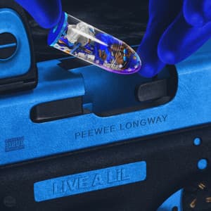 Live a Lil - Peewee Longway