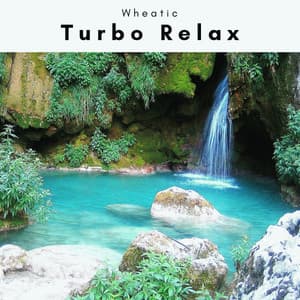 2022 Turbo Relax - Wheatic