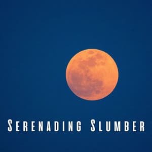 Serenading Slumber: Meditative Piano for Restful Sleep - Classic Jazz Piano