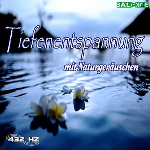 Tiefenentspannung mit Naturgeräuschen - 432 HZ Musik