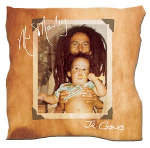 Mr. Marley - Damian Marley