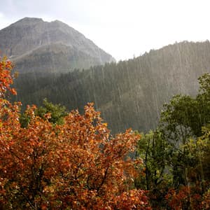 Yoga in the Rain Shower: Relaxing Music Rainfall Serenity - Restful Music Concort