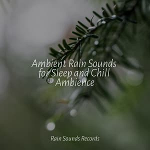 Ambient Rain Sounds for Sleep and Chill Ambience - Sonidos De Truenos y Lluvia
