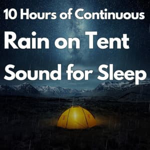 10 Hours of Continuous Rain on Tent Sound for Sleeping - White Noise Radiance