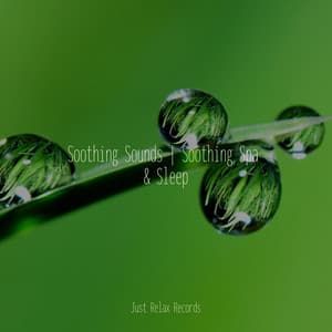 Soothing Sounds | Soothing Spa & Sleep - Relaxed Minds