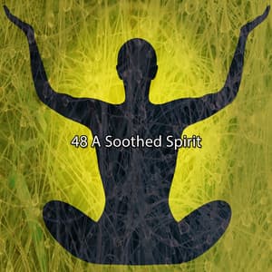 48 A Soothed Spirit - Música Zen Relaxante