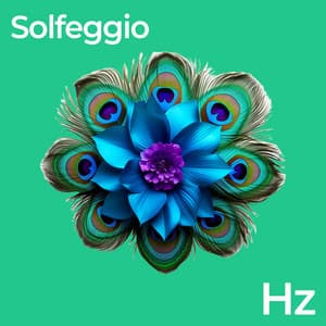 Solfeggio Frequencies Deep Sleep - Musica Reiki