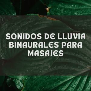 Sonidos De Lluvia Binaurales Para Masajes - Acerca de una tormenta repentina