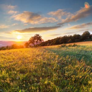 Earth's Melodies: Serene Nature Ambience for Peaceful Reflection - Mother Earth HD