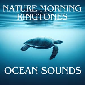 Nature Morning Ringtones: Ocean Sounds - Ocean Sounds MT