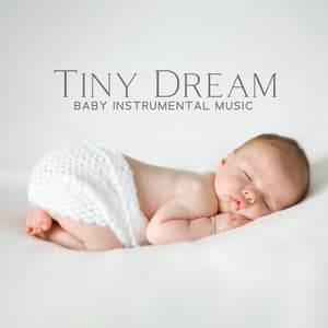 Tiny Dream - Soothing Baby Music Zone