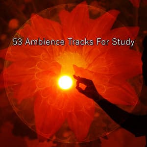 53 Ambience Tracks For Study - Meditation Group