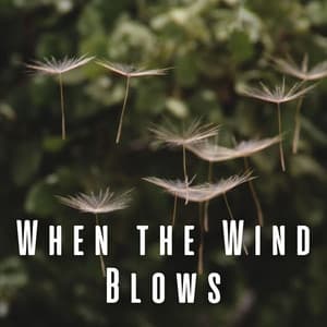 When the Wind Blows - Sleep Playlist