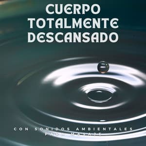 Cuerpo Totalmente Descansado Con Sonidos Ambientales Para Masaje - Proyecto de piano