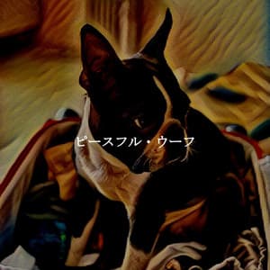 ピースフル・ウーフ - Smooth Jazz New York