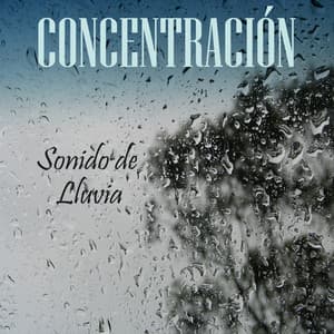 Concentración: Sonido de Lluvia - Musica Para Leer