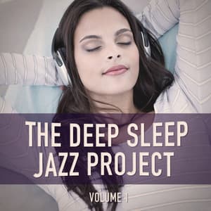 The Deep Sleep Jazz Project, Vol. 1 - Jazz Me Up