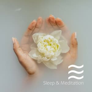 20 Minudos del Ruido Marrón Muy Tranquilo Para Relajar - Academia de Sonidos de la Naturaleza para el Masaje