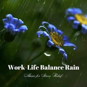 Work-Life Balance Rain: Music for Stress Relief - Calm Office Background Music