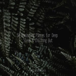 50 Unwinding Pieces for Deep Sleep & Chilling Out - Kinderliederbande