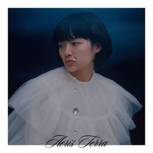 Momentary Calmwave - Aeris Terra