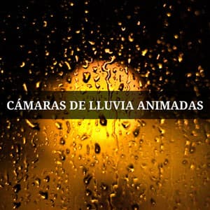 Cámaras De Lluvia Animadas - Relájate Ruido