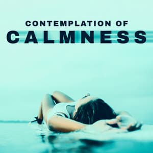 Contemplation of Calmness : Home Spa New Age Tones for Tired People - Spa Relaxing New Age Project