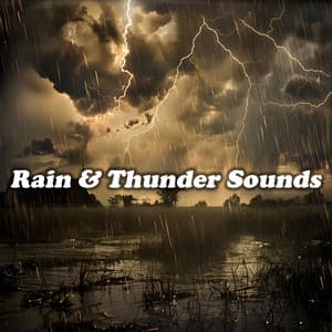 Rain & Thunder Sounds - Sounds of Thunder and Rain