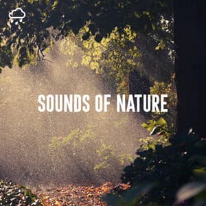 Sounds of Nature - Nature Sounds Lab