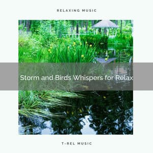 Storm and Birds Whispers for Relax - Wave Sounds For Sleep