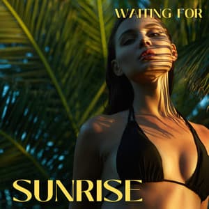 Waiting for Sunrise: Exotic Chill and Deep House Party Mix - Ibiza House Classics