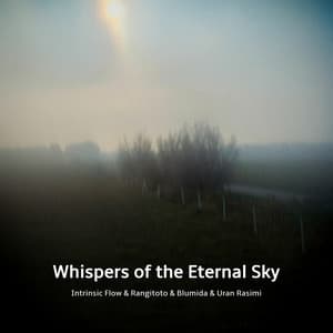 Whispers of the Eternal Sky - Intrinsic Flow