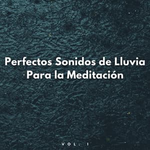 Perfectos Sonidos De Lluvia Para La Meditación Vol. 1 - Meditación Lluvia Sonidos