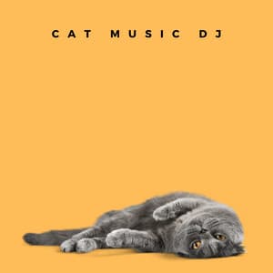 Cat Care Music - Cat Music DJ