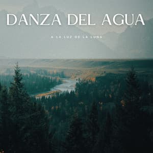 Danza Del Agua A La Luz De La Luna - Efectos de agua