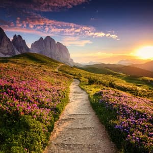 Melodías Del Día: Vibraciones Armónicas Sin Esfuerzo - Restaurante Música Lista de reproducción Ambiente