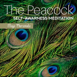 The Peacock: Self-Awarness Meditation to Boost Self-Esteem, Confidence, Compassion and Enjoying Happy Life, Guitar Music and Sound of Nature - Maya Theravada