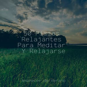 50 Pistas Relajantes Para Meditar Y Relajarse - Lullabyes