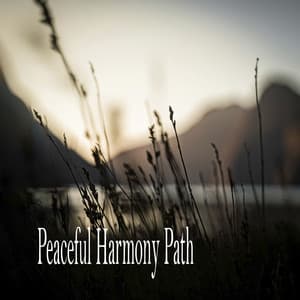 Peaceful Harmony Path - Música Relajante