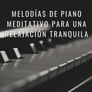 Teclas De Serenidad: Melodías De Piano Meditativo Para Una Relajación Tranquila - Colección definitiva de pianos de jazz