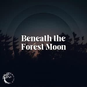 Beneath the Forest Moon - Vidar’s Echo