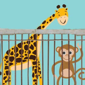 Feelings for Chill Coffee Houses - Hotel Chillout Lounge