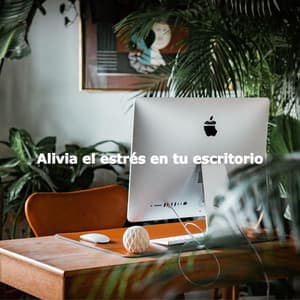 Alivia el estrés en tu escritorio - Música Suave para Cafés